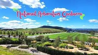 National Arboretum Canberra 🌲🪁🐿️ | Aussie Life | Canberra
