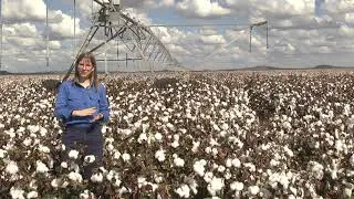 Variable rate irrigation using VARIwise