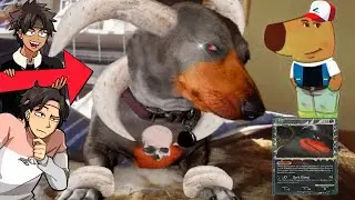 MEGA HOUNDOOM &mdash; ЭТО ТАКОЙ РАССЛАБЛЕННЫЙ ДЕЦ... при участии @SuaveForm Pokemon Scarlet и Violet In...