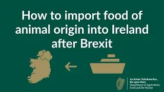 How to Import Food of Animal Origin into Ireland after Brexit