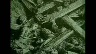 the foxholes - goldminer song