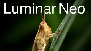 Luminar Neo overview. The 