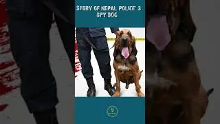 Nepal Police's Spy Dog|Nepali Crime Story