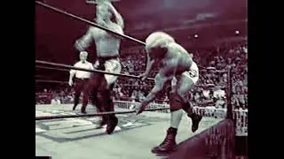 Chris Jericho - Triangle Dropkick (Top Rope)