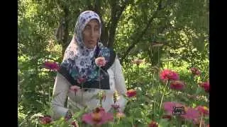 tarimda kadın eli YURDAGÜL ÖZCAN
