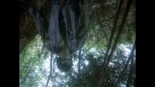 Hulk vs. Ewok