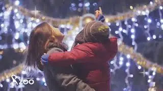 Праздничное световое шоу 2025 в зоопарке Роджера Уильямса