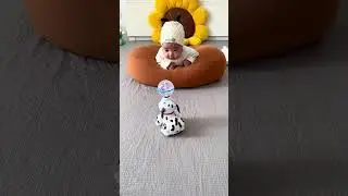 This spinning puppy with a ball on its head is so much fun! My child is having a blast playi