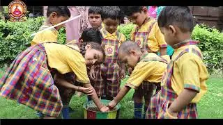 Van Mahotsav 2024