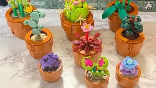 LEGO BOTANICALS-TINY PLANTS/My Cana-Pino Family.