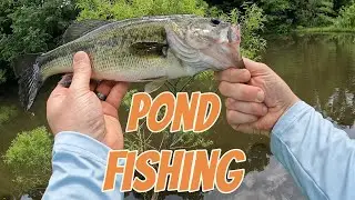 Pond Fishing with Lews American Hero Spinning Combo