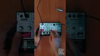 Kraftwerk - The Man Machine | Volca Bass #ableton #korg #kraftwerk