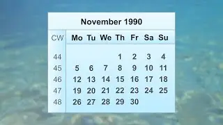 November 1990 Calendar