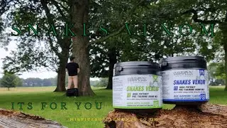 SNAKES VENOM // BEST PRE-WORKOUT AROUND