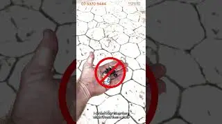 Quality Control Check: Hail Damage Roof Replacement
