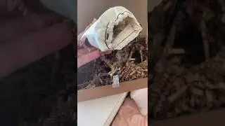 Smudge Kit