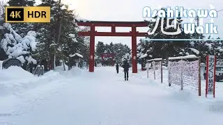 Walk through Snowy Sports Park and New Year Shrine Visit in Asahikawa | Hokkaido | Japan | 4K HDR