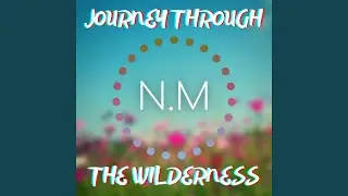 Journey Through the Wilderness (with Noah Millar, Katze, Key Lime Canid, Salad, Hex & Warheads)