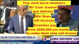 Two Jack Horse Ministers, Mr' Crab,control gun delivery , Shaw-pay Examiner more stop sell license