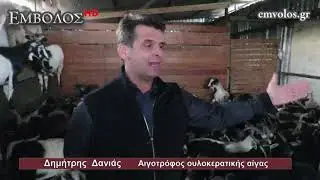 Λιβαδειά: Επίσκεψη στη καινοτόμα κτηνοτροφική μονάδα ουλόκερων αιγών του Δημήτρη Δανιά