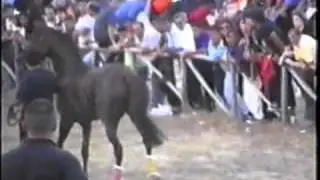 PALIO DI FONNI 1999 sardegna