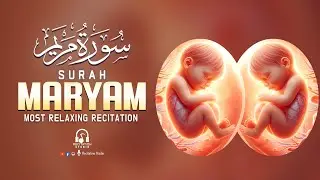Surah Maryam سورة مريم | Spiritual Support During Pregnancy | Alaa Aqel
