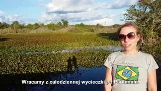 Pantanal