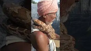 Ajegar Snake 😱😱 #shorts #viral  #vlog #youtubeshorts