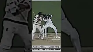David Warner classical 300 v pakistan #cricket #pakistan #australian #retirement #2019
