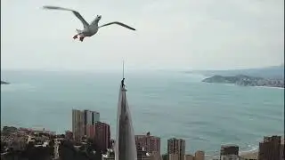 The rooftop of Tower 42 (Benidorm)