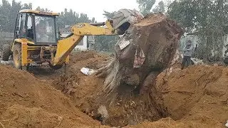 JCB VS A Big Tree Root - JCB Pushing A Big Tree Root - JCB Video