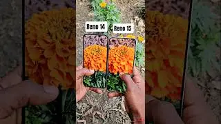 Oppo Reno 14 vs 15: The Ultimate Camera Comparison #shorts