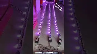 100 lamp pixel belt || 40ft 100 Led Pixel Belt #pixelbelt #100ledpixelbelt #neutralcutpixelbelt