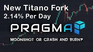 Missed Titano and Safuu? Check out Pragma Money. Is it a Moonshot or will it Crash and Burn?