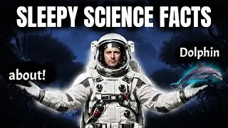 Dolphins Never Fully Sleep! 😴🐬 | The Shocking Science Behind Dolphin Sleep That Will Blow Your Mind.