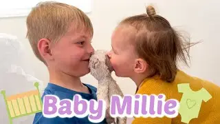 Aunt Momma is Babysitting for the next 6 days!