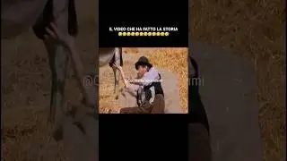 GINO D&rsquo;ACAMPO 🤣🤣🤣🤣🤣🤣🤣🤣