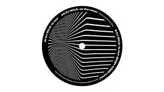 DJ W!LD - Le Mur [SPIT AND DIE]