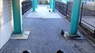 Dorney Park: Possessed / On Ride Front Row POV / October 18, 2014 1080P