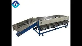 Fruit Vegetable Processing Machines Apple Washing Drying Waxing Sorting Machine