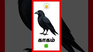 Learn colours in Tamil for Kids and children | Tamilarasi