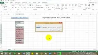 Highlight Duplicate or Unique Value In Excel