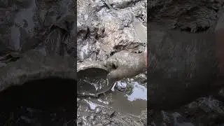 Best traditional fishing video #foryou  #fishing #fish