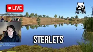 Grab The Sterlets, Trophy Today For Sure ❄️ RF4