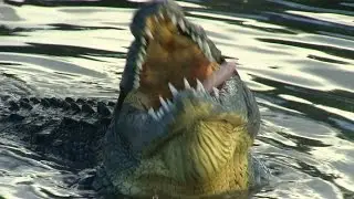 Atoll of the Water Dragons