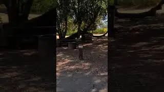 Juniper Campground &ndash; Site 24 | Mt. Diablo, CA | Quick Campsite View