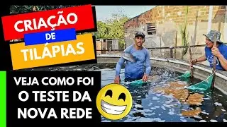 😄 Teste Divertido da Nova Rede