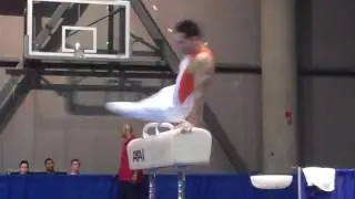 Daniel Ribeiro - Pommel Horse - 2010 Winter Cup - Day 1