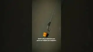Questi ami catturano pi&ugrave; carpe! Oscar Brugger spiega il motivo! 👌