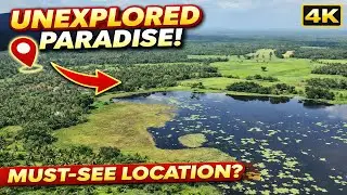 Breathtaking Aerial View of Paddy Fields, Lake & Mountain 🌿 | Nature Relaxation